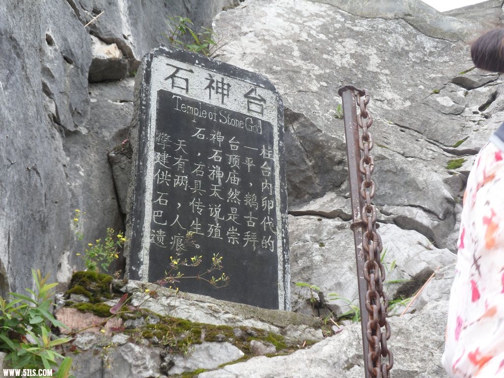 81.jpg