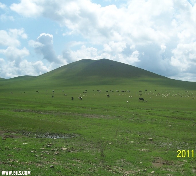 未命名99.jpg