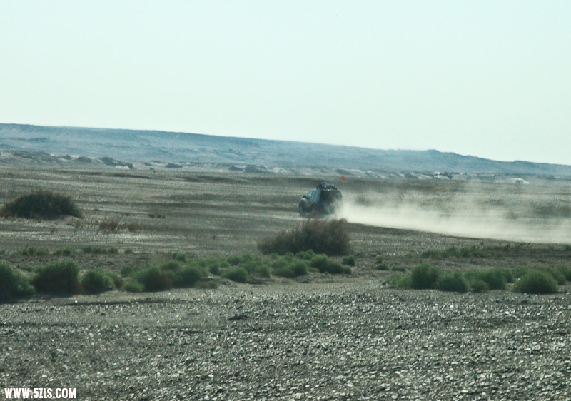 IMG_7747-2.jpg