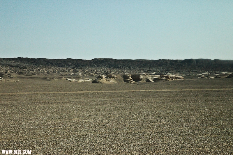 IMG_7755.jpg