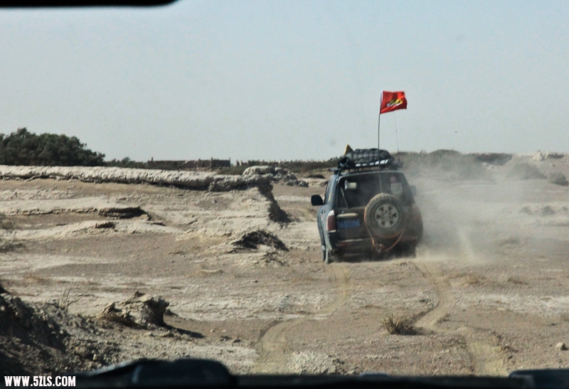 IMG_7816-2.jpg
