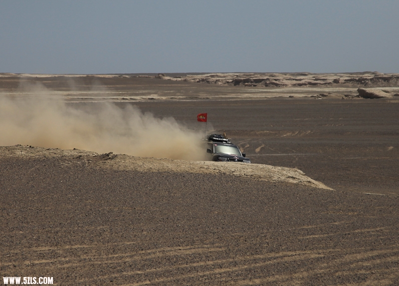 IMG_7966-2.jpg