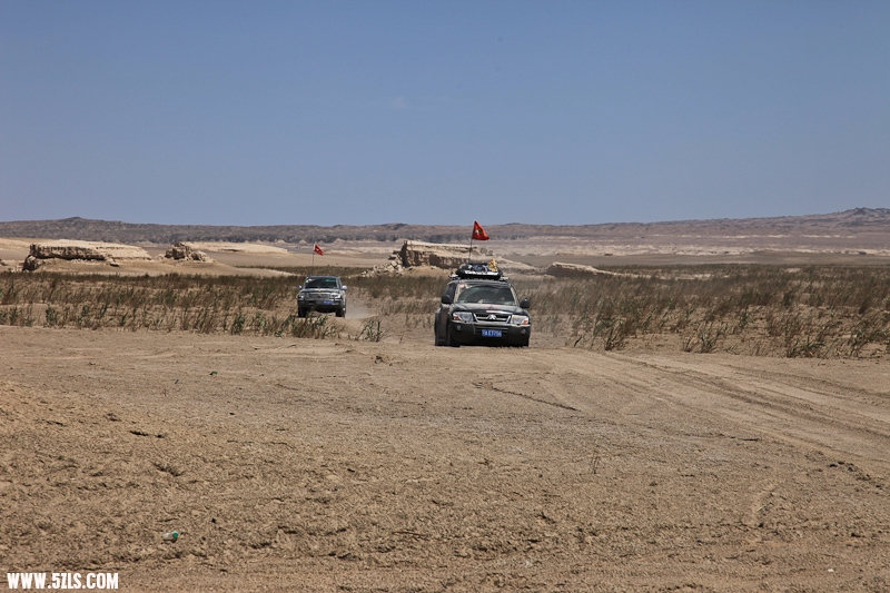 IMG_8080-2.jpg
