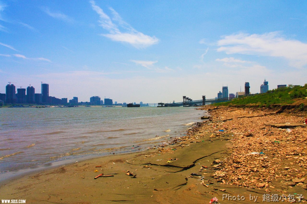 IMG_2746g.jpg