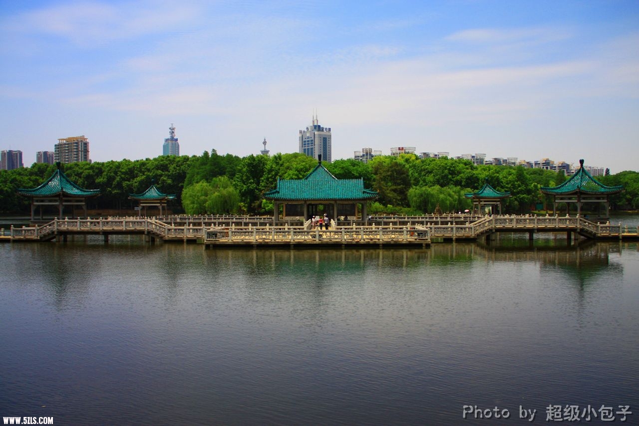 IMG_3654g.jpg