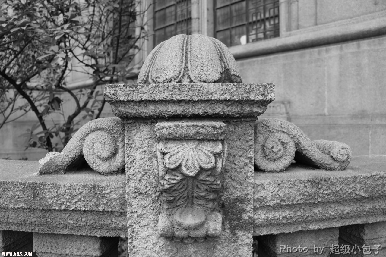 _MG_0507.JPG