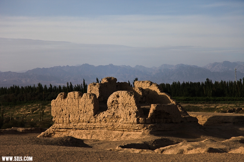 IMG_8348-2.jpg