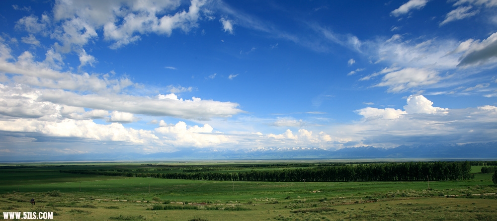 file1___201063013625313.jpg