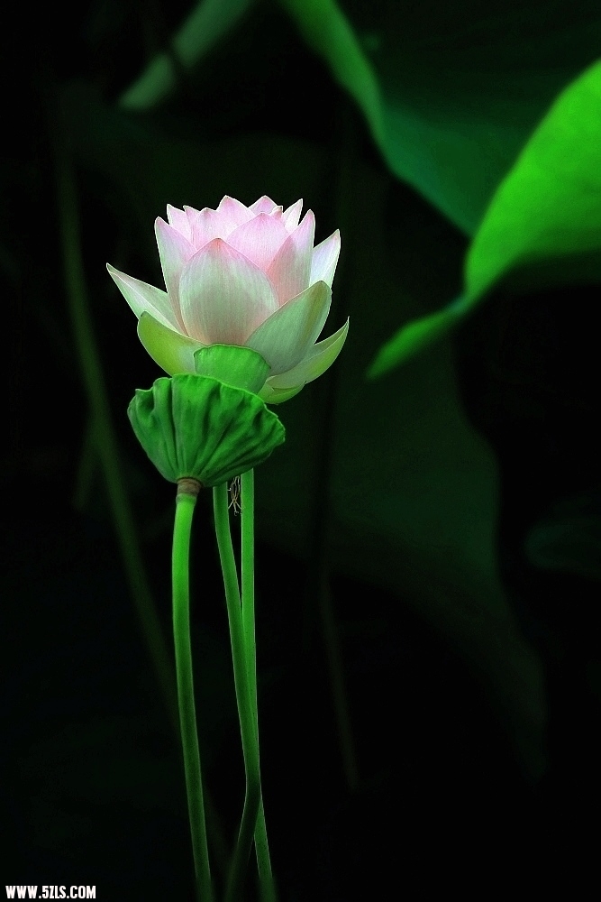 DPP_000151.JPG