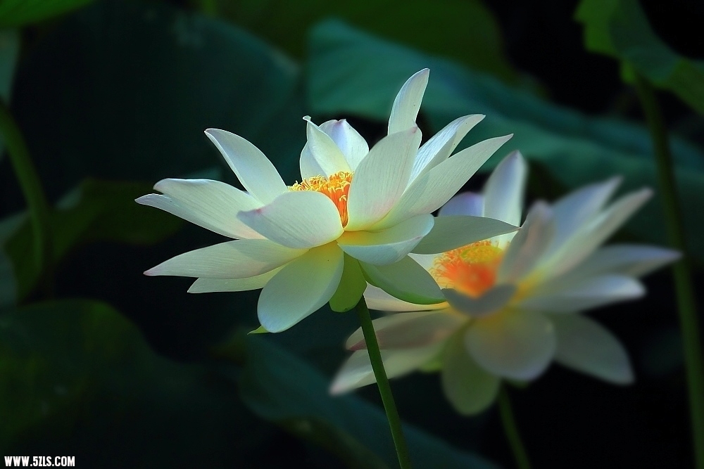 DPP_000158.JPG