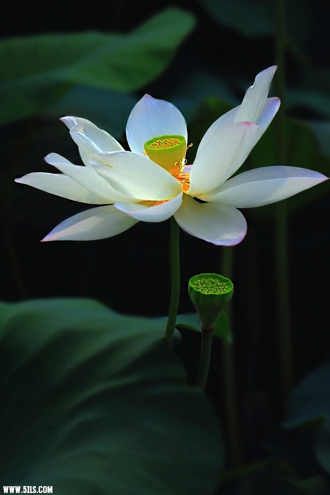 DPP_000165.jpg
