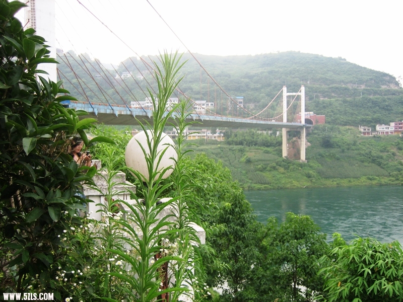 2011 002.jpg