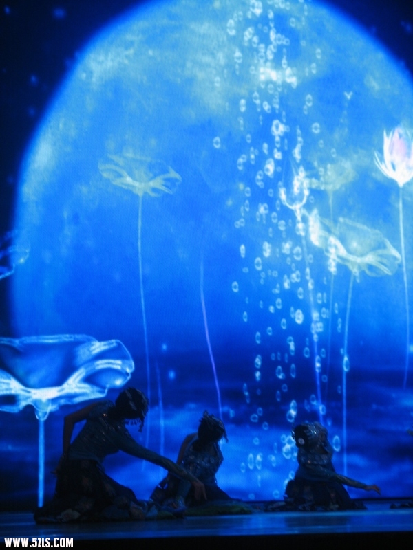2011 066.jpg