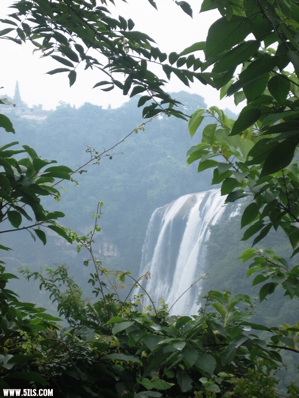 2011 177.jpg