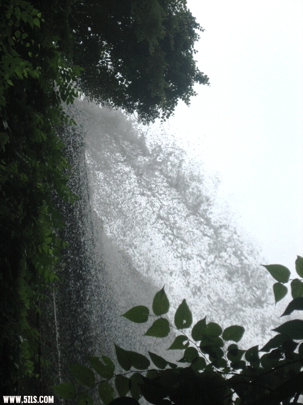 2011 200.jpg