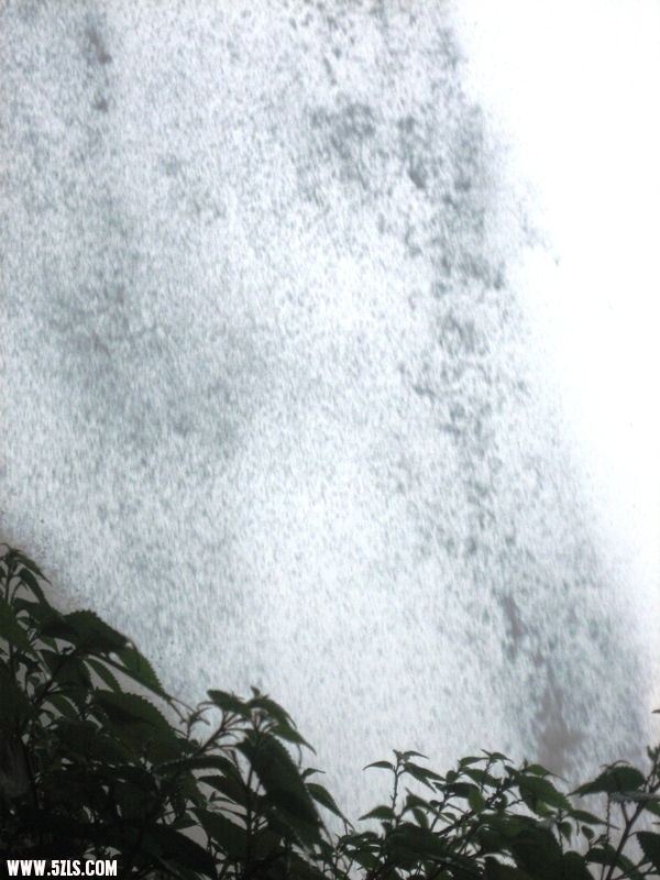 2011 206.jpg