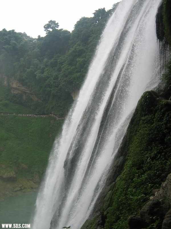 2011 216.jpg