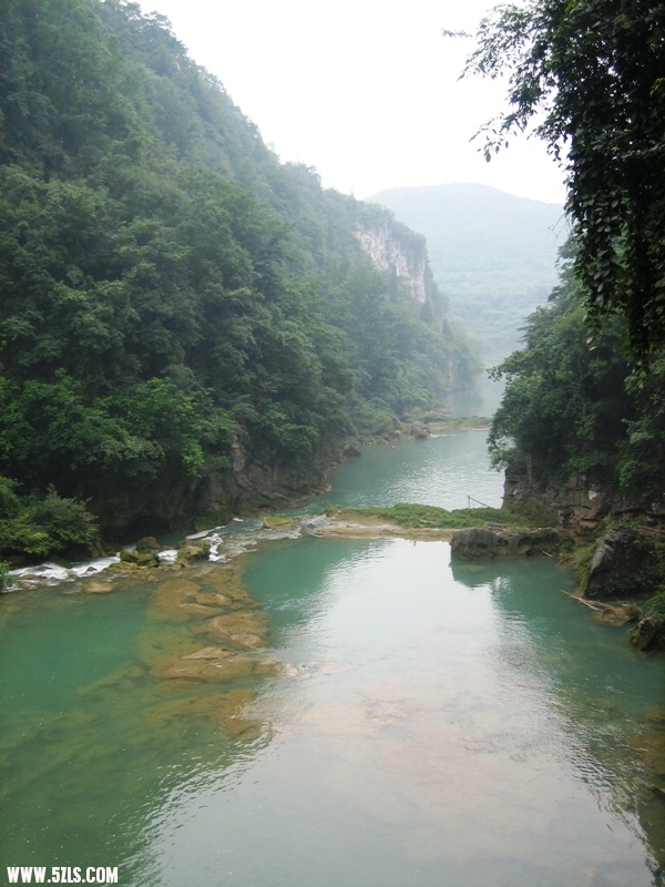 2011 233.jpg
