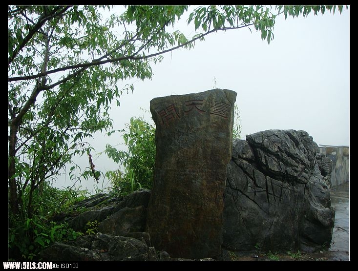 DSC07734.jpg