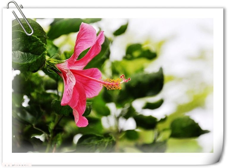 Ƭ 051.jpg