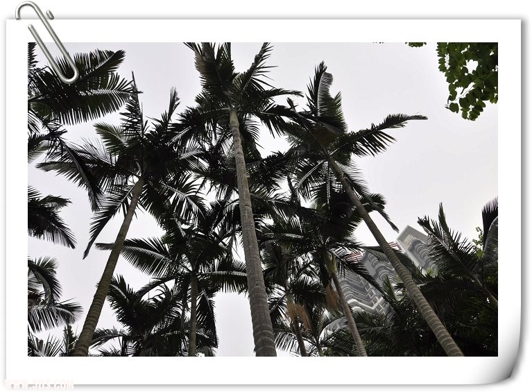 Ƭ 008.jpg