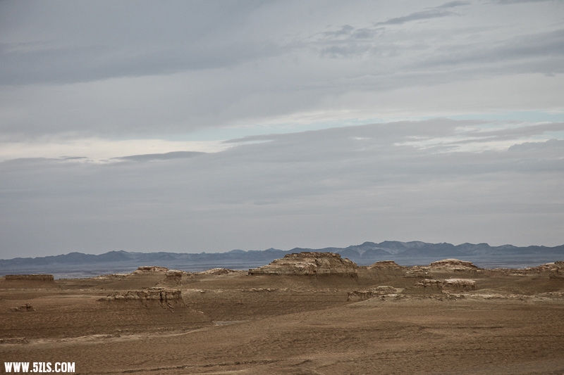 IMG_9016-2.jpg