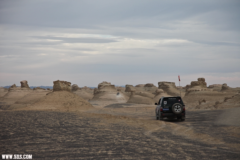 IMG_8993-2.jpg