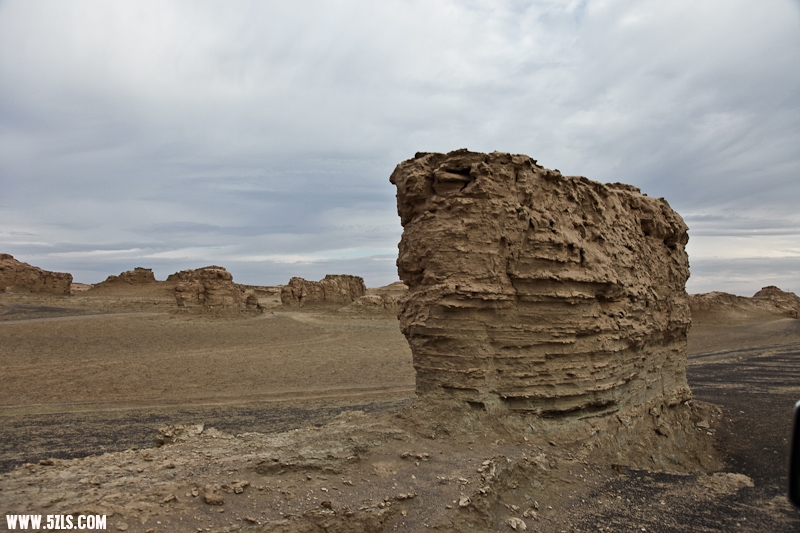 IMG_9006-2.jpg