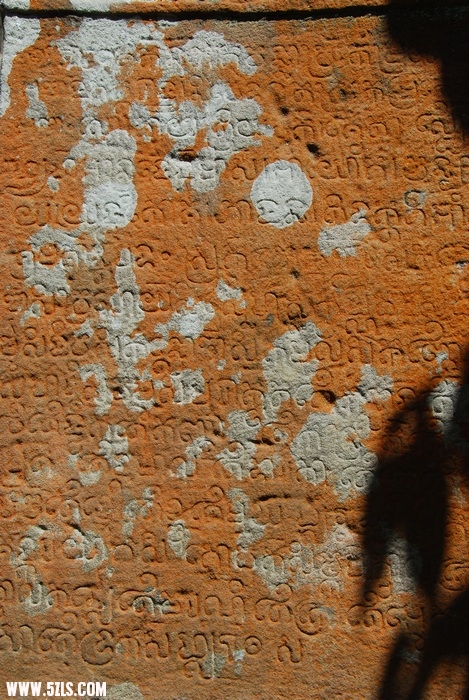 03011153.jpg
