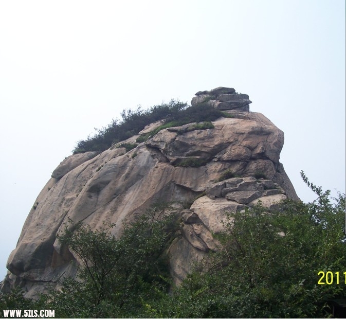 未命名99.jpg