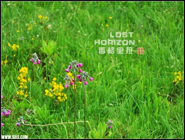 LOST HORIZONĻ.jpg