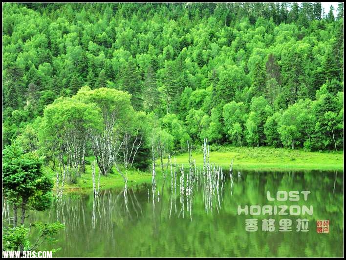 LOST HORIZONӰ.jpg