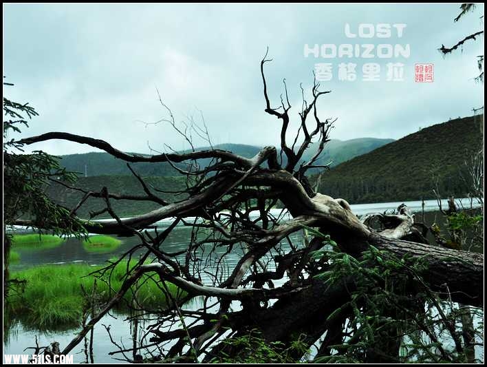LOST HORIZON.jpg
