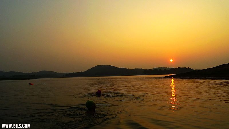 P1090927.jpg
