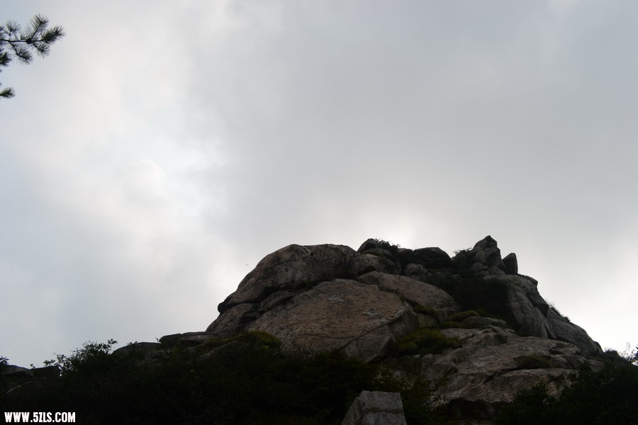 DSC_0169_СС.JPG