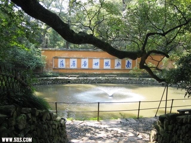 2010-- 039.jpg