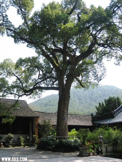 2010-- 045.jpg