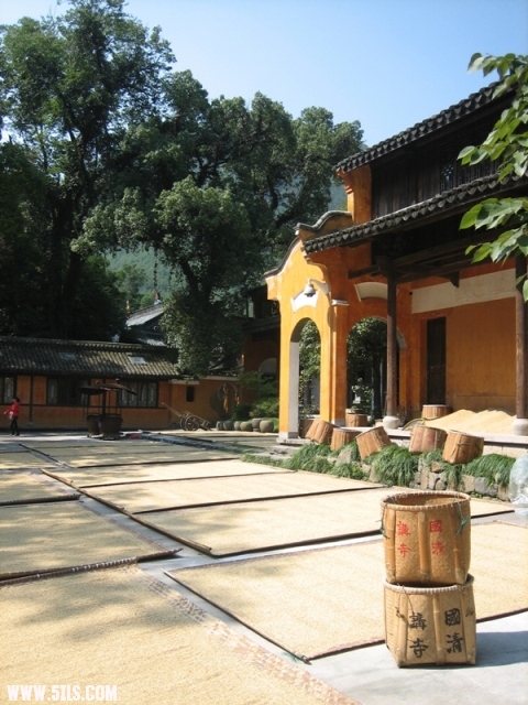 2010-- 061.jpg
