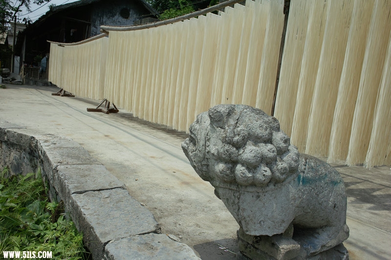 SDIM0981.jpg