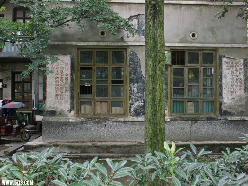 SDIM0702.jpg