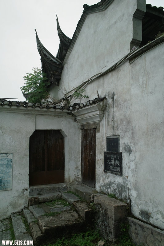 SDIM0618.jpg