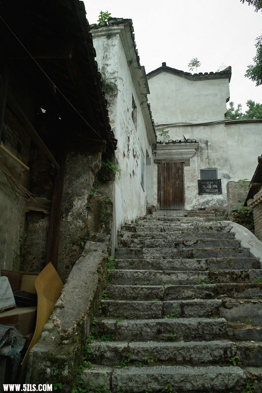 SDIM0620.jpg