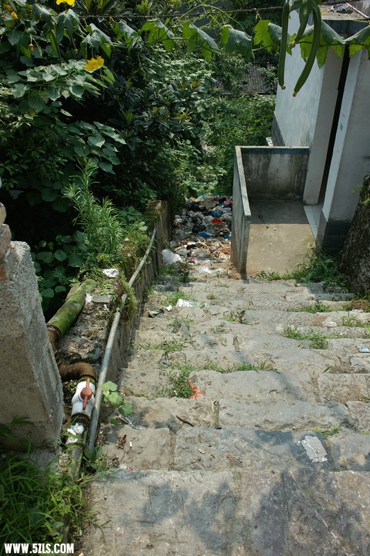 3SDIM0807.jpg