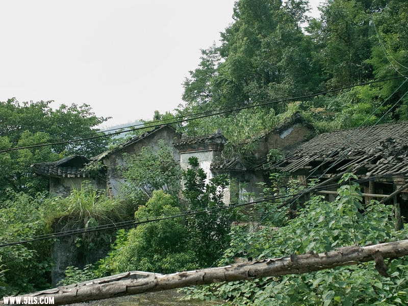 4SDIM0809.jpg