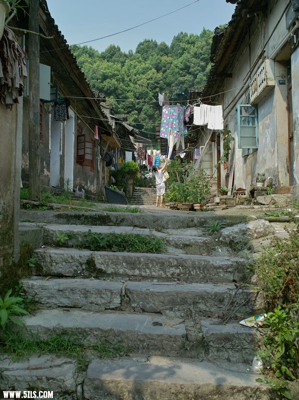 6SDIM0811.jpg