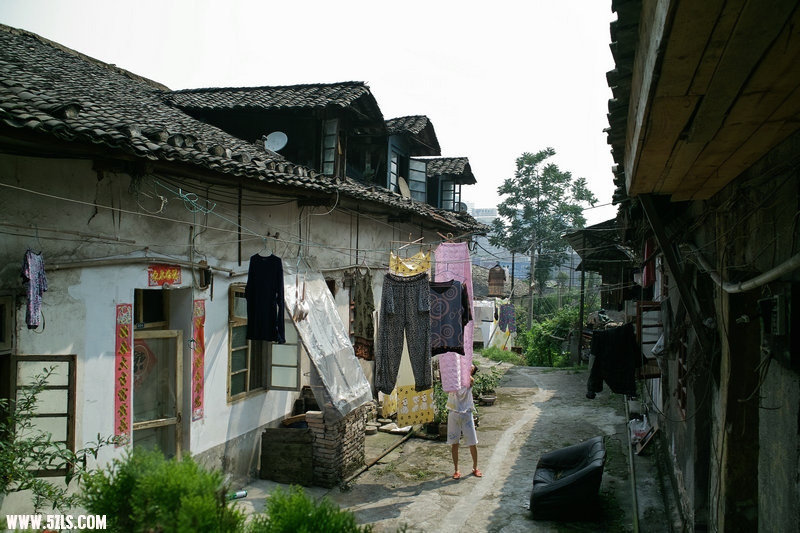 7SDIM0817.jpg
