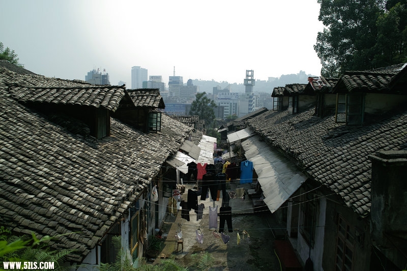 9SDIM0822.jpg