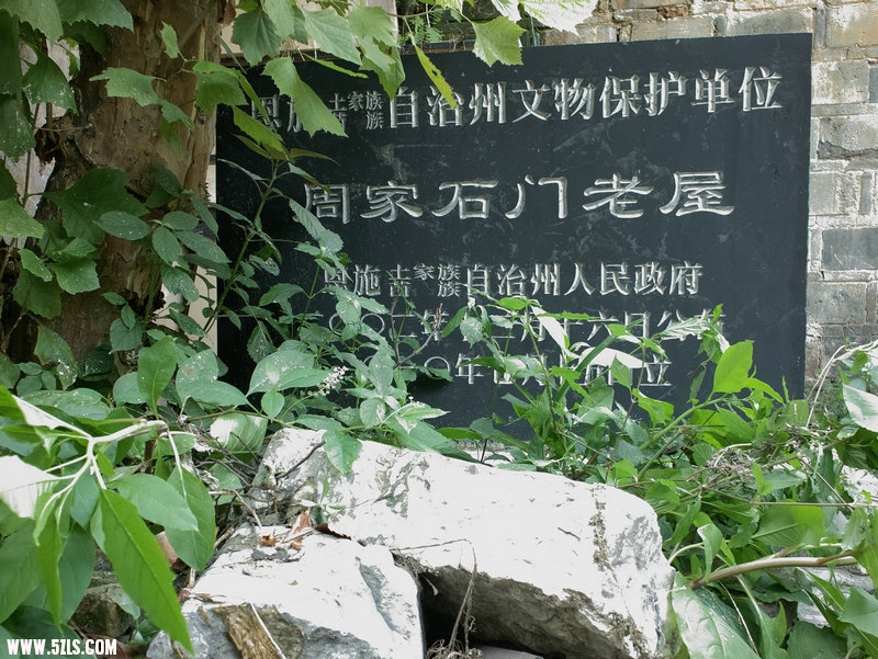 SDIM0888.jpg