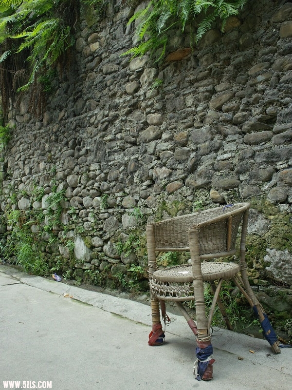 SDIM1000.jpg