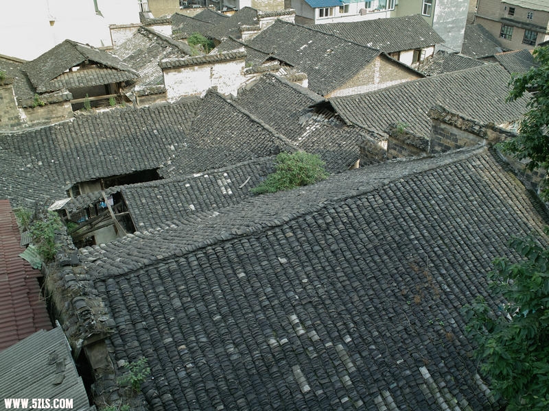 SDIM0885.jpg